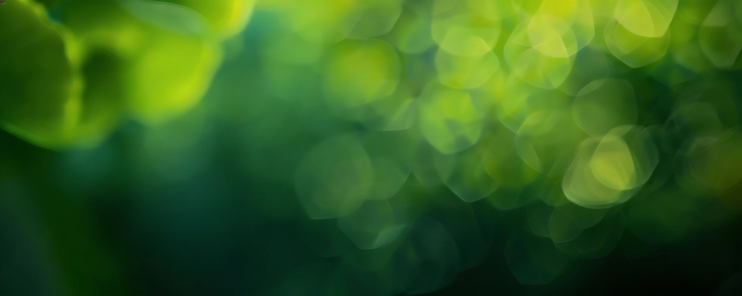 bg3